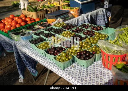 Il mercato agricolo di Port Royal, il sabato mattina, è da non perdere sia per la gente del posto che per i turisti quando si visita la contea di Beaufort, South Carolina. Foto Stock