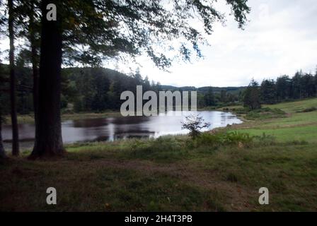 Lago con alberi a Cragside, Rothbury, Northumberland, Inghilterra, Regno Unito, Regno Unito Foto Stock