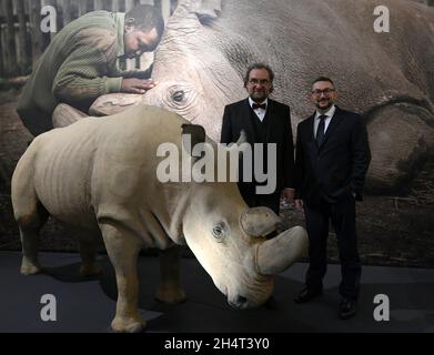 Praga, Repubblica Ceca. 4 novembre 2021. Il Museo Nazionale di Praga espone il Sudan, il rinoceronte bianco settentrionale più famoso del mondo, morto un paio di anni fa come ultimo maschio sopravvissuto della sottospecie di rinoceronte bianco settentrionale a Praga, Repubblica Ceca, 4 novembre 2021. A destra è direttore generale del Museo di Praga Michal Lukes, a sinistra è Premysl Rabas, direttore DELLO ZOO Dvur Kralove. Credit: Michal Krumphanzl/CTK Photo/Alamy Live News Foto Stock