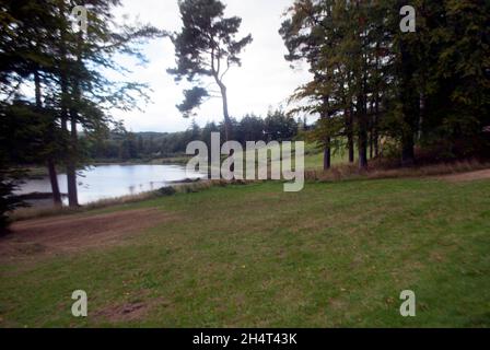 Lago con alberi a Cragside, Rothbury, Northumberland, Inghilterra, Regno Unito, Regno Unito Foto Stock