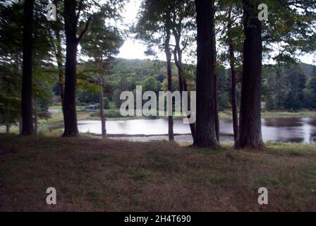 Lago con alberi a Cragside, Rothbury, Northumberland, Inghilterra, Regno Unito, Regno Unito Foto Stock