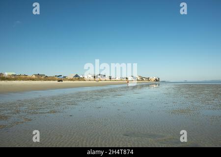 Harbour Island, situato vicino a Beaufort, South Carolina, è una delle molte isole marine della costa della Carolina, perfetta per una fuga tranquilla. Foto Stock