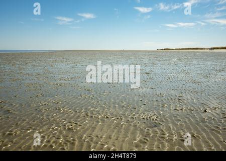 Harbour Island, situato vicino a Beaufort, South Carolina, è una delle molte isole marine della costa della Carolina, perfetta per una fuga tranquilla. Foto Stock