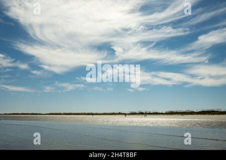 Harbour Island, situato vicino a Beaufort, South Carolina, è una delle molte isole marine della costa della Carolina, perfetta per una fuga tranquilla. Foto Stock