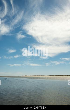 Harbour Island, situato vicino a Beaufort, South Carolina, è una delle molte isole marine della costa della Carolina, perfetta per una fuga tranquilla. Foto Stock