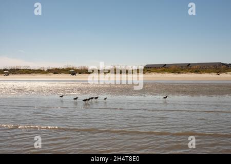 Harbour Island, situato vicino a Beaufort, South Carolina, è una delle molte isole marine della costa della Carolina, perfetta per una fuga tranquilla. Foto Stock