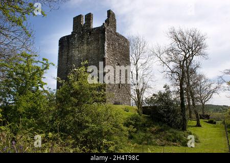 Cardoness Castle, Gatehouse of Fleet, Dumfries & Galloway, Scozia Foto Stock