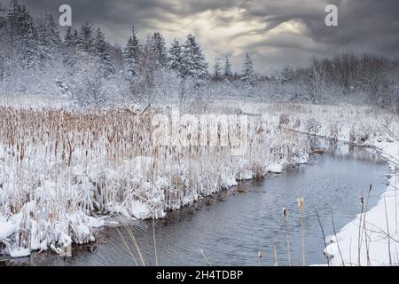 Un fiume o un ruscello che scorre attraverso paludi in un paesaggio ghiacciato. Foto Stock