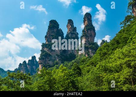 La formazione rocciosa delle tre Sorelle nella Ten Mile Gallery nel Zhangjiajie National Forest Park, Hunan, Cina. Foto Stock