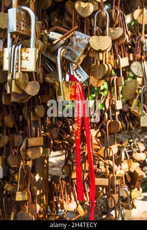 Le serrature tradizionali dell'amore significano i rapporti romantici sui bar nel parco forestale nazionale di Zhangjiajie, Hunan, Cina. Foto Stock