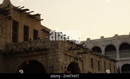 Piccioni di Souq Waqif a Doha, Qatar Foto Stock