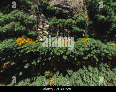 Collina rocciosa con pineta da un drone. Foto Stock