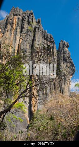 The Arches, Chillagoe, Queensland, Australia Foto Stock