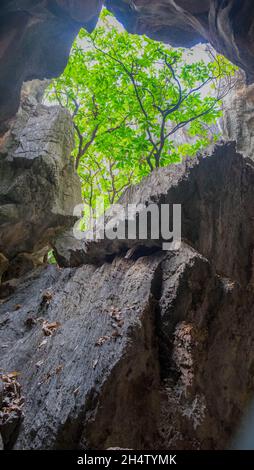 The Arches, Chillagoe, Queensland, Australia Foto Stock