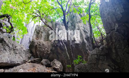 The Arches, Chillagoe, Queensland, Australia Foto Stock