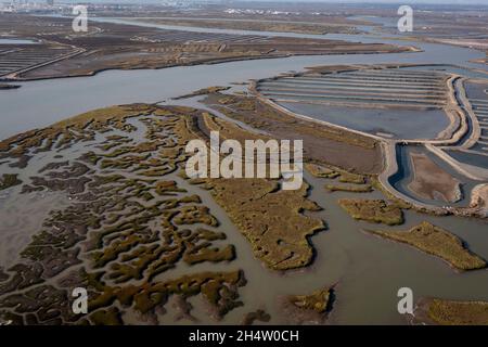 Vista aerea su paludi e saline, Parco Naturale Bahia de Cadiz. Costa de la Luz, provincia di Cadice, Andalusia, Spagna Foto Stock