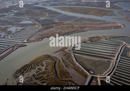 Vista aerea su paludi e saline, Parco Naturale Bahia de Cadiz. Costa de la Luz, provincia di Cadice, Andalusia, Spagna Foto Stock