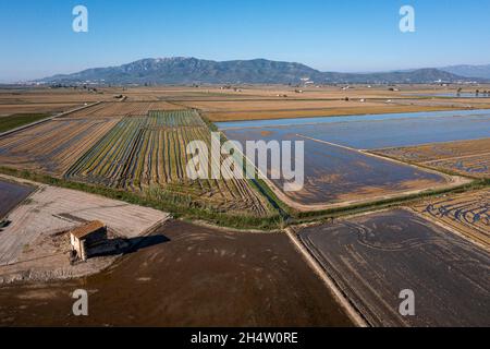 Vista aerea dei campi di riso dopo essere stati raccolti, Delta Ebro, Parco Naturale, Tarragona, Spagna Foto Stock