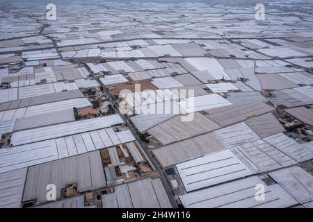 Serre. Mare di plastica. Roquetas de Mar, Alameria, Spagna Foto Stock