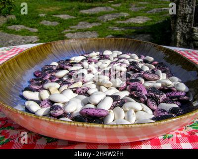 fagioli in primo piano di due classi alcuni bianchi e altri rosa e nero su una superficie di pietra lucida Foto Stock