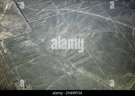 Il Condor, Linee di Nazca, (antica geoglifi e Sito del Patrimonio Mondiale) nel deserto vicino a Nazca, Regione di Ica, Perù, Sud America - aerial Foto Stock