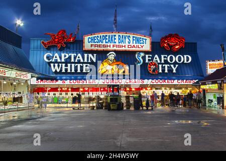 Captain White's Seafood City mercato del pesce comunale a Washington, DC 2015. Foto Stock