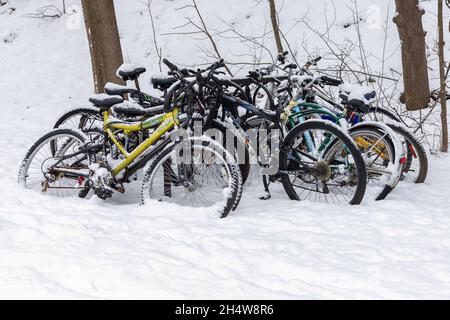Biciclette abbandonate coperte di neve, parcheggiate vicino agli alberi nella stagione invernale Foto Stock