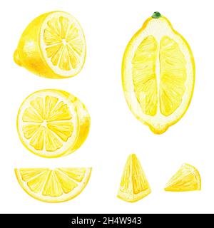 Slice di agrumi frutti acquerello disegno a mano. Limone isolato su sfondo bianco. Per la progettazione di inviti, biglietti d'auguri, sfondi, Foto Stock