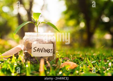 Monete in vaso. Concetto di risparmio di denaro. Foto Stock