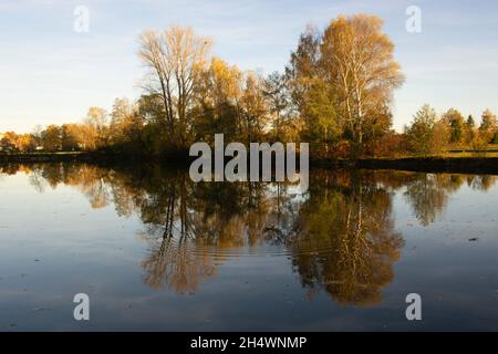 paesaggio autunnale con lago e alberi e cielo e riflessi luminosi Foto Stock
