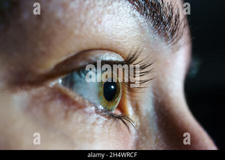 Primo piano dell'occhio verde-marrone della donna. Occhio umano o bulbo oculare su luce drammatica Foto Stock
