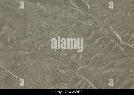 Vista aerea di linee di Nazca che rappresenta una scimmia Geoglyph, Nazca, Perù Foto Stock