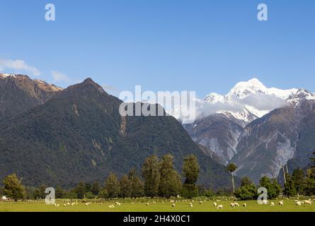 Alpi meridionali. Due supporti su uno scatto. Monte Cook e Monte Tasman. South Island, Nuova Zelanda Foto Stock