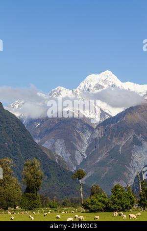 Due supporti su uno scatto. Monte Cook e Monte Tasman. South Island, Nuova Zelanda Foto Stock