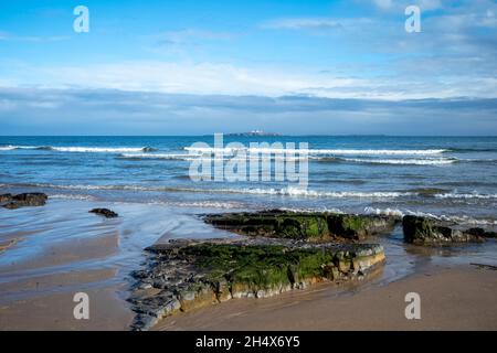 Il faro interno di Farne Island illuminato dal sole autunnale, Bambburgh, Northumberland, Regno Unito Foto Stock