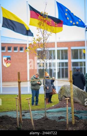 Letzlingen, Germania. 05 novembre 2021. Davanti alle bandiere della caserma Altmark si trova una quercia appena piantata. Era il 2.5 millionesimo albero piantato sulla zona di addestramento. La foresta intorno all'area di addestramento ha lo scopo di proteggere i villaggi e le comunità circostanti dal rumore e dalla polvere. Credit: Klaus-Dietmar Gabbert/dpa-Zentralbild/ZB/dpa/Alamy Live News Foto Stock