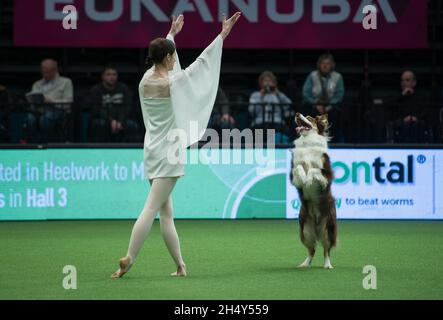 Concorso Heelwork to music il giorno 2 della mostra di cani Crufts al NEC il 11 2016 marzo a Birmingham, Regno Unito. Foto Stock