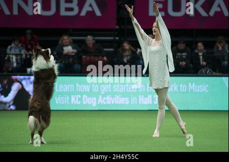 Concorso Heelwork to music il giorno 2 della mostra di cani Crufts al NEC il 11 2016 marzo a Birmingham, Regno Unito. Foto Stock