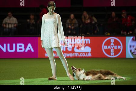 Concorso Heelwork to music il giorno 2 della mostra di cani Crufts al NEC il 11 2016 marzo a Birmingham, Regno Unito. Foto Stock