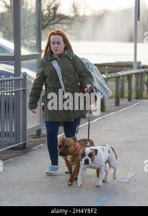 I cani e i loro proprietari arrivano per il primo giorno di spettacolo di cani Crufts 2017 al NEC di Birmingham, Regno Unito. Data foto: Giovedì 09 marzo, 2017. Photo credit: Katja Ogrin/ EMPICS Entertainment. Foto Stock