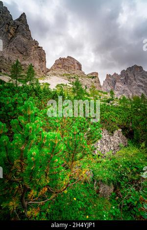 Escursione alle Dolomiti di Rotwandwiesen Alto Adige Italia Foto Stock