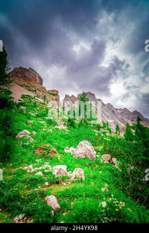 Escursione alle Dolomiti di Rotwandwiesen Alto Adige Italia Foto Stock