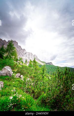 Escursione alle Dolomiti di Rotwandwiesen Alto Adige Italia Foto Stock