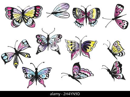 Disegno a mano collezione di farfalle piuttosto colorato acquerello design Illustrazione Vettoriale