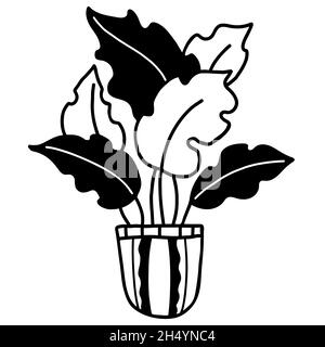 disegno a mano in pentole illustrazioni, piante di casa in stile doodle. Illustrazione vettoriale. Elemento grafico a profilo isolato per design, decor, decorazione, po Illustrazione Vettoriale
