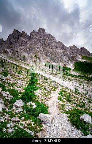 Escursione alle Dolomiti di Rotwandwiesen Alto Adige Italia Foto Stock