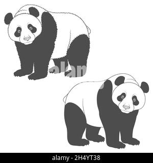 Immagine in bianco e nero di panda. Oggetti vettoriali isolati su sfondo bianco. Illustrazione Vettoriale