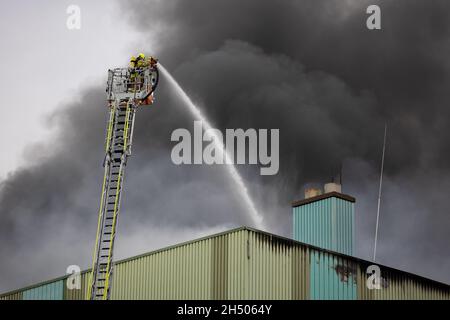 Hannover, Germania. 05 novembre 2021. Da una scala giradischi, i vigili del fuoco spengono l'incendio in un edificio industriale a Brinker Hafen, da cui il fumo nero aumenta. Credit: Moritz Frankenberg/dpa/Alamy Live News Foto Stock