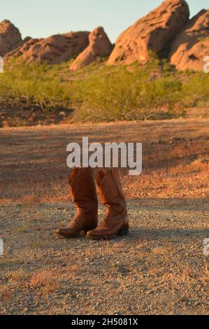 Stivali da cowboy in pelle marrone in un ambiente naturale Foto Stock