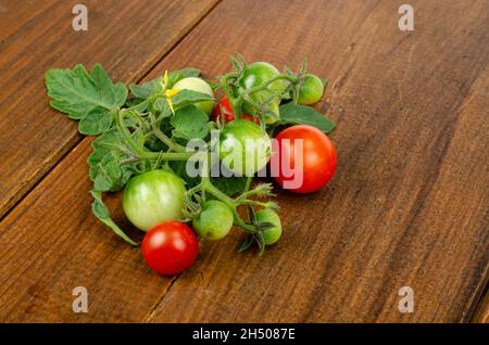 Rametto di pomodori ciliegini con frutta rossa e verde su sfondo di legno. Foto studio. Foto Stock